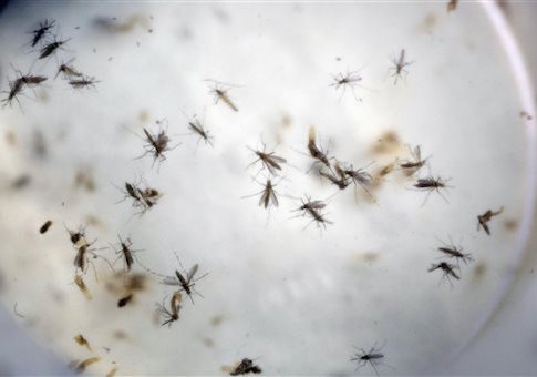 GOP Senator Condemns Obama for Shuffling $500M From Zika to U.N. Climate Fund