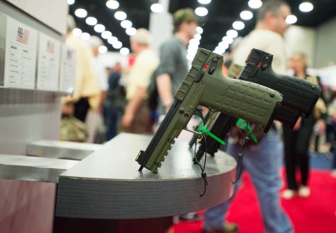 Federal Appeals Court Halts DC Gun Rights Ruling