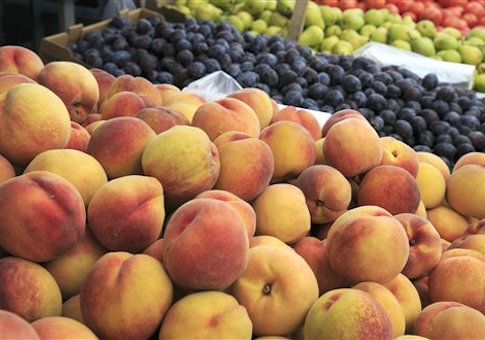 Feds Spend $564,231 on Farmers’ Markets for Refugees