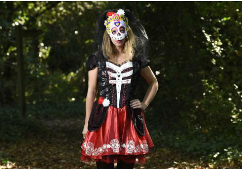 UMass Now Has Flow Charts for Offensive Halloween Costumes