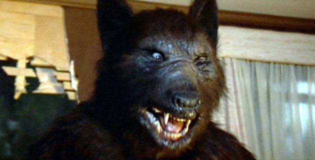 A Fictional Short Story About Whether There Is Such a Thing as Werewolves