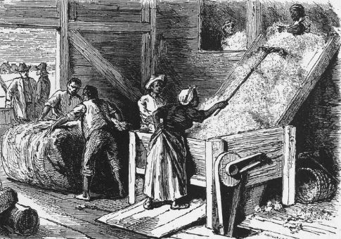 The Progress of Slavery