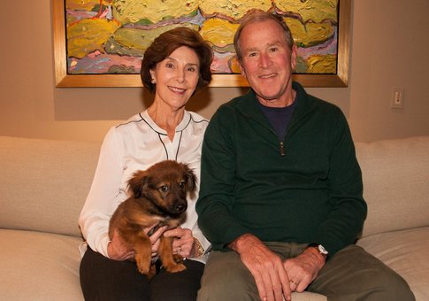 George W. Bush Has Adopted a Puppy