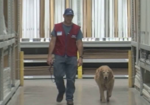 Disabled Air Force Vet, Service Dog Make Great Team on the Job