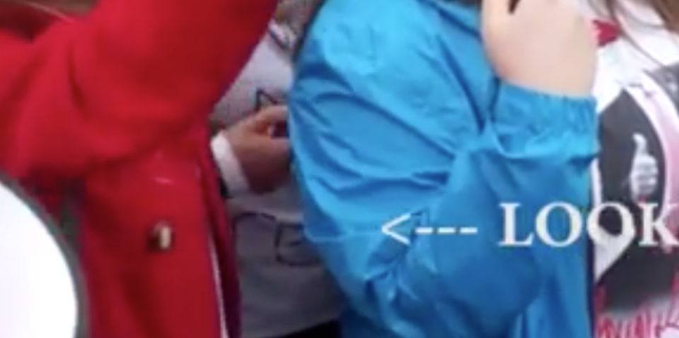 Trump Supporter Gets Hair Lit on Fire by Anti-Trump Protester