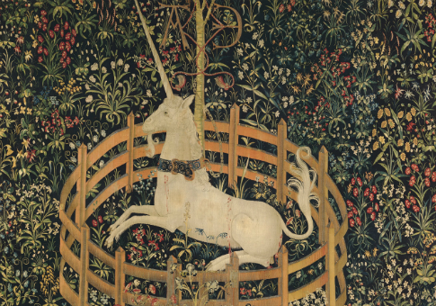 The Unicorn Boy