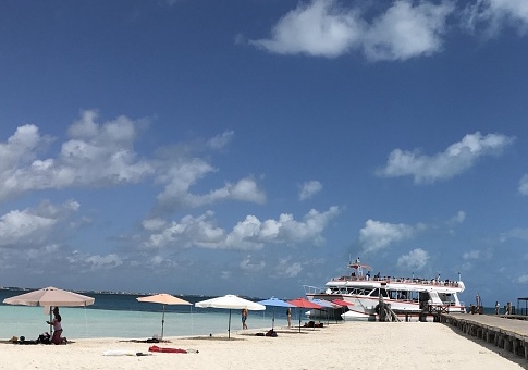 Cancun Spring Breakers Chanting 'Build the Wall' Turns Out to Be Fake News