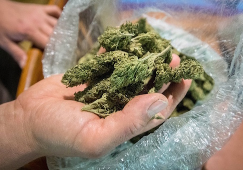 Surgeon General: Weed Legalization 'A Massive Public Health Experiment'