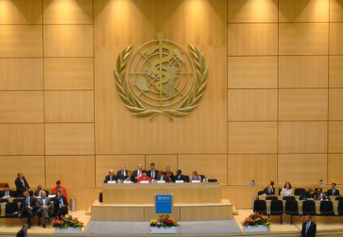World Health Organization Spends Nearly as Much on Travel as Combined Programs to Fight Disease