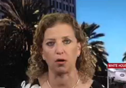 Wasserman Schultz Dodges on Whether Democrats Singing on House Floor Was Inappropriate