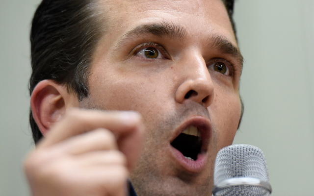 Donald Trump Jr. Eviscerates Dems with Nail in the Coffin Tweet: "Congratuations Dems..."