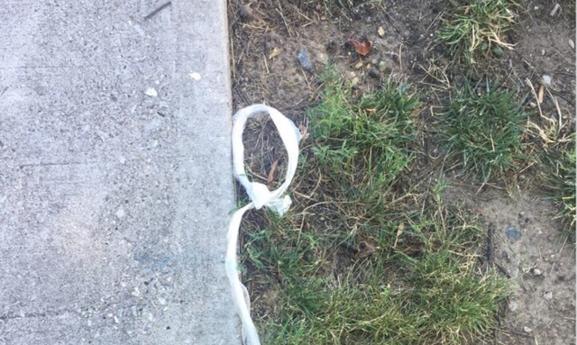 Police Discover What's Really Going on After Being Called to Scene to Investigate 'Hate Crime'