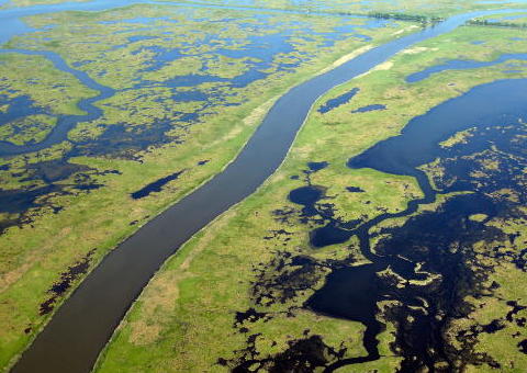 Feds Fund Dissertation on 'Climate Change Denial'