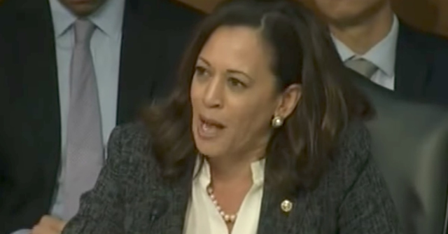 Kamala Harris Compares Trump to Robber Holding Gun to Someone's Head