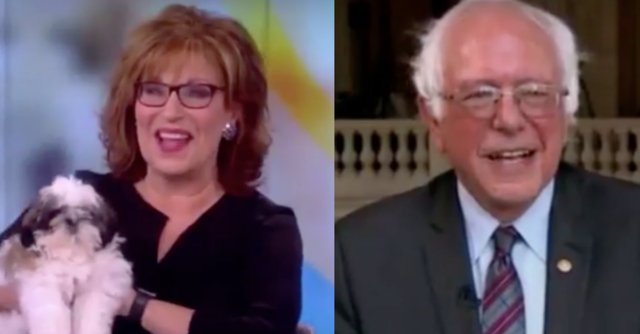 Joy Behar Names Her Dog After Bernie Sanders