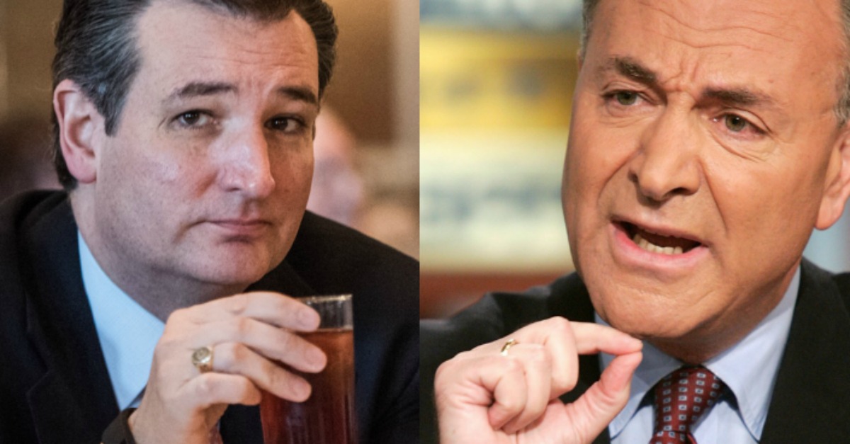 After Schumer Bashes Ted Cruz's Healthcare Plan as a "Hoax," the Texas Senator Has a Brutal Comeback