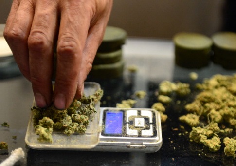 Senate Committee Ignores Sessions, Protects Medical Marijuana