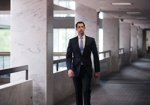 Cotton on Trump-Schumer Meeting: 'I Hope the President Talked Some Sense Into Schumer'