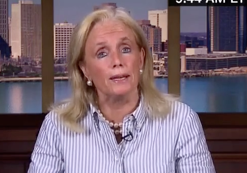 Dem. Rep: Branding and Leadership of Democratic Party Are 'False Discussions,' 'Sheer Distraction'