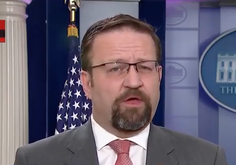 Gorka Compares Using the Term 'Radical Islamic Terrorism' to Properly Diagnosing Cancer