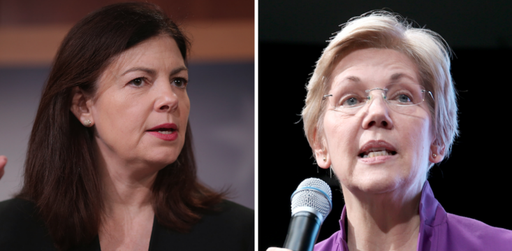 Former GOP Senator Wants Elizabeth Warren to Run for President. But There's a Catch...