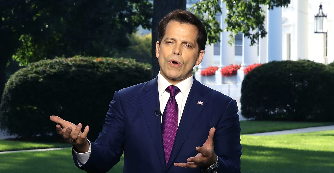 Anyone Who Wants the DC Swamp Drained Will Love the Title of Scaramucci's New Sitcom