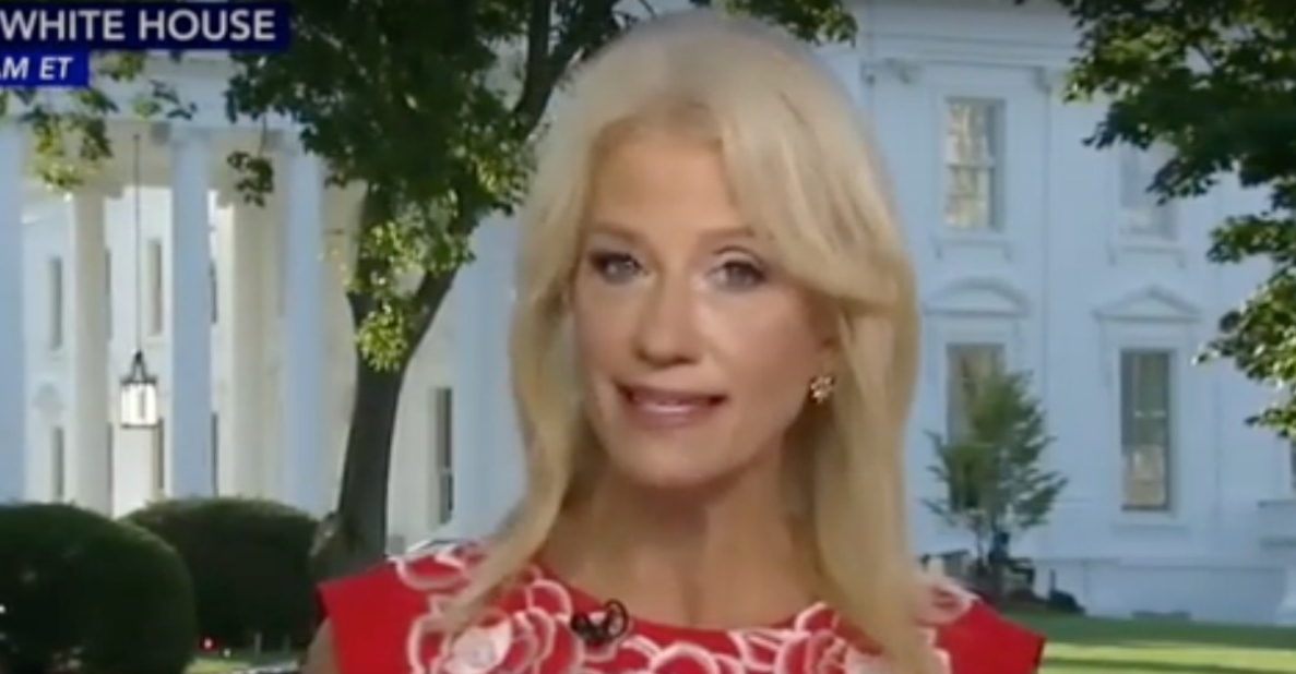 Conway Ponders Dem Sen's Awkward Absence for Upcoming Senate Votes: "...Little Busy These Days"