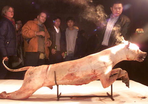 Controversial Dog Fighting 'Art' Funded by Taxpayers