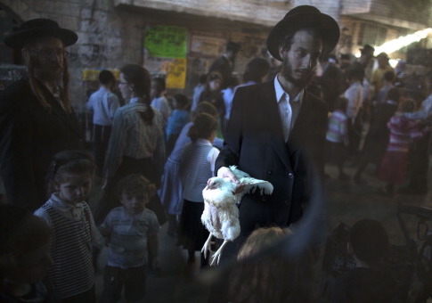 Animal Rights Activists Suit Threatens to 'Arrest' Orthodox Jews