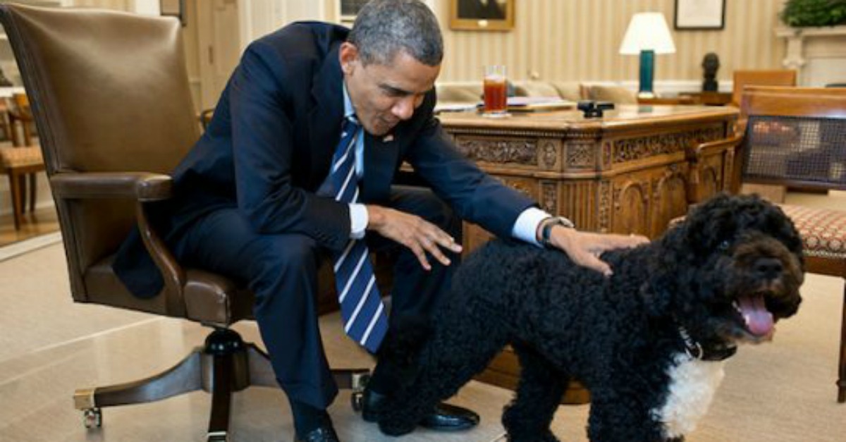 Man Who Received Award from Obama Now Studying Intimate Human-Dog...'Relations'