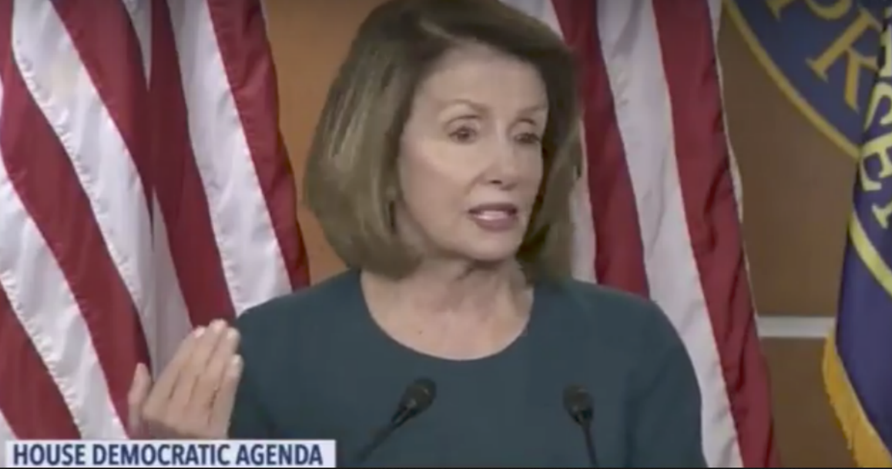 After Illegal Immigrants Shout Her Down at Her Press Conference, Pelosi Praises Their Parents