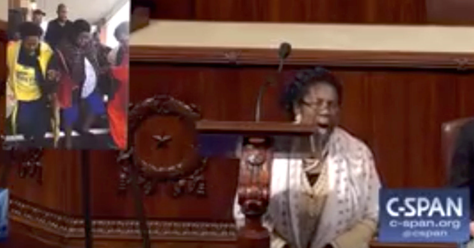 Dem Rep Took a Knee in the Middle of the House Floor