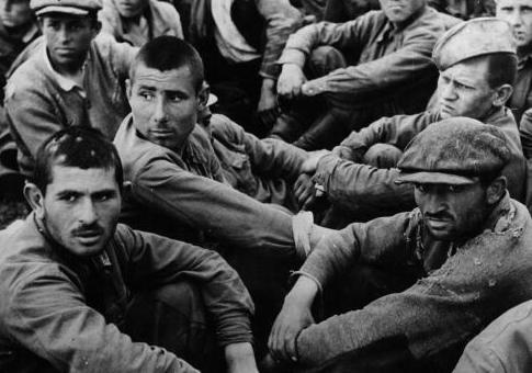 Stalingrad Remembered