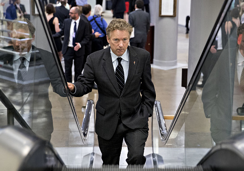 MSNBC's Kasie Hunt Calls Assault on Rand Paul 'One of My Favorite Stories'