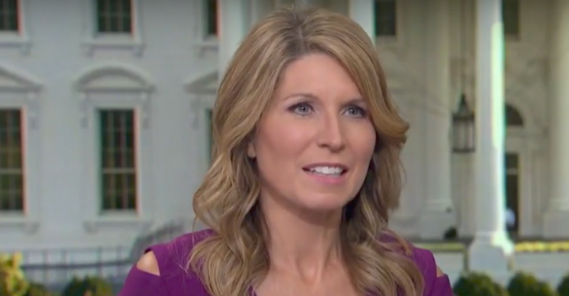MSNBC's Nicole Wallace Explains the 'Real' Meaning of the 2nd Amendment