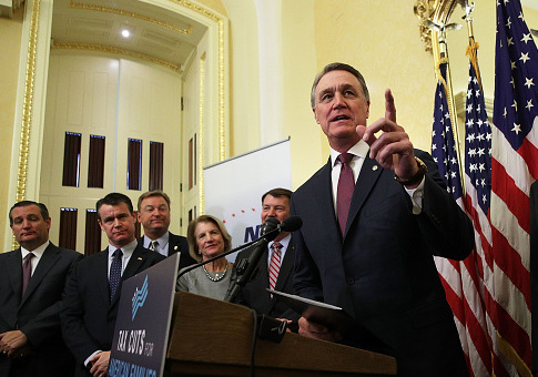 Sen. Perdue: Ending Chain Migration a 'Top Priority' for Republicans