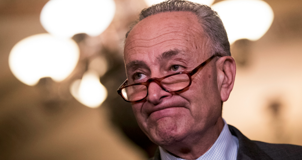 Chuck Schumer Tried Really Hard to Block DOT Nominee. Here's How Well That Turned Out.