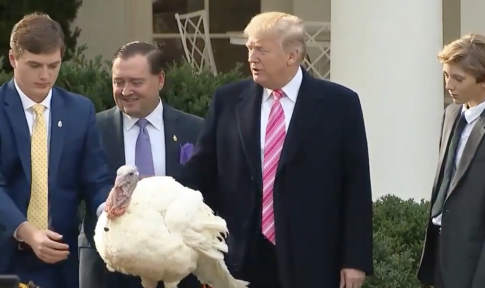 Reporter Asks Trump if He's Going to 'Pardon Any People' at Turkey Pardon