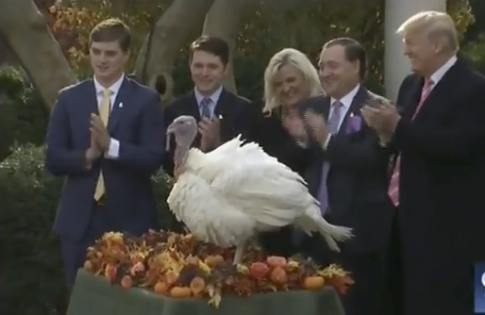Trump Pardons 'Magnificent' Thanksgiving Turkey
