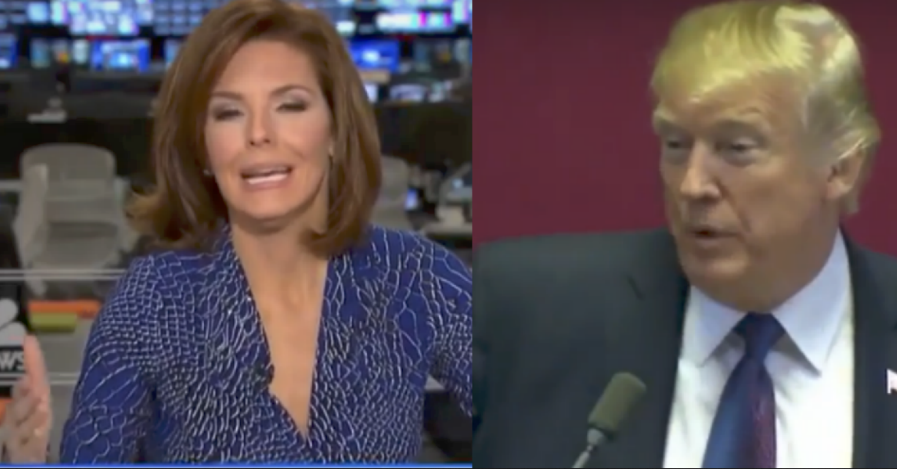 MSNBC's Ruhle Turns to Camera and Says She Owes Audience 'an Apology.' Then Rolls Clip of Trump...