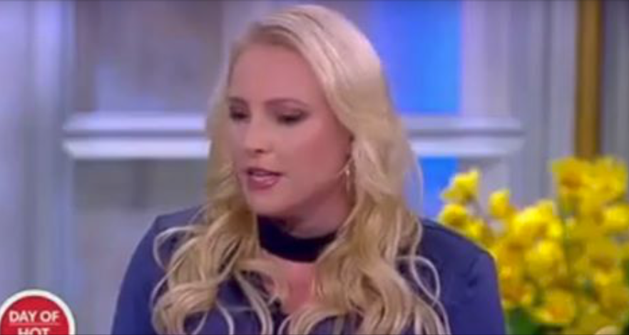 McCain Has Fierce Warning for Name-Calling Democrats: "When You Call My Father 'Hitler...'"