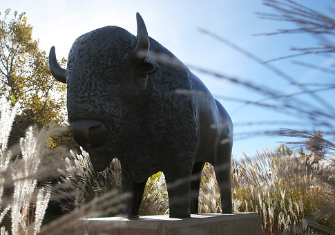 University of Colorado Considers Overhauling Policies to Support Free Speech
