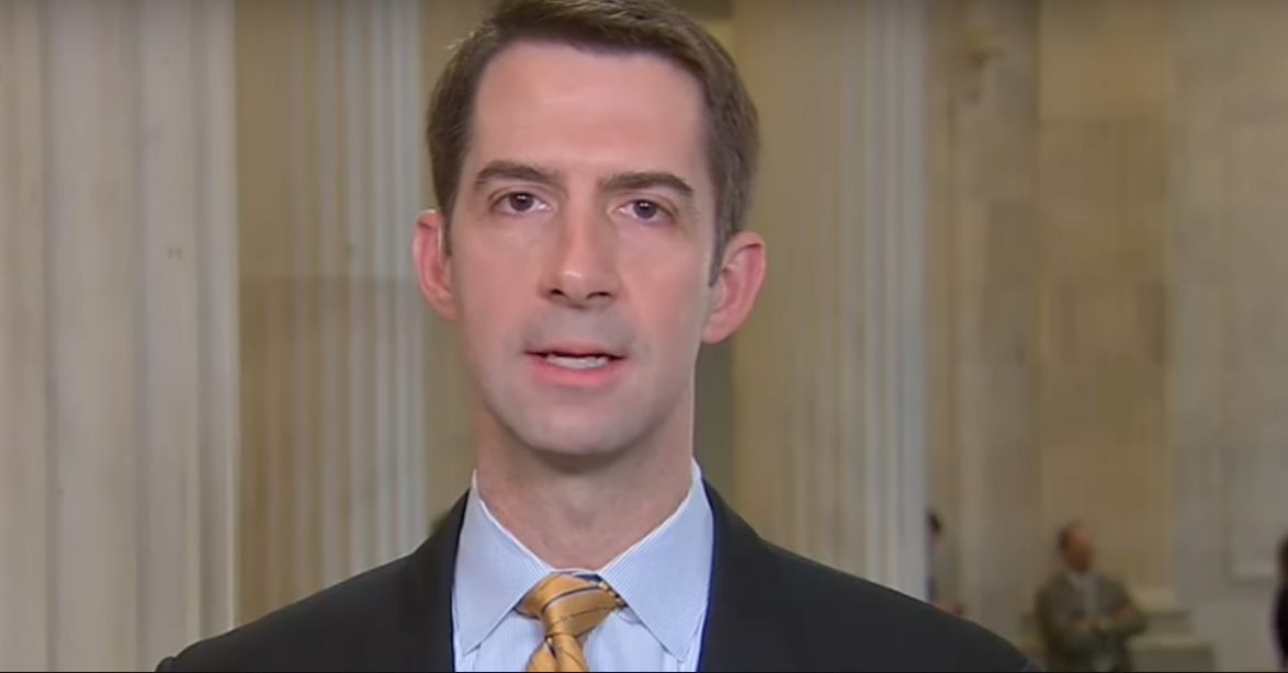 Sen. Cotton Slams Dems Attacking WH Staffers: It’s "Beneath the Dignity of a Senator"
