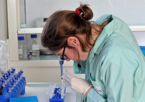 Study: As Nations Grow More Equal, STEM Gender Gap Widens