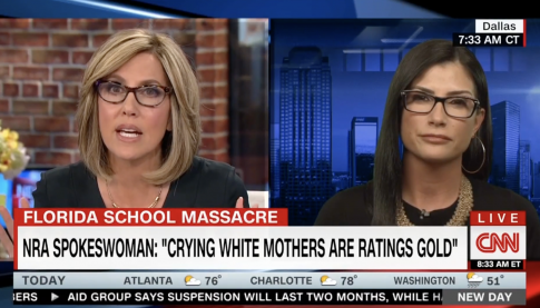 Dana Loesch Is Right: CNN Host Stood by as NRA Called 'Child Murderers'