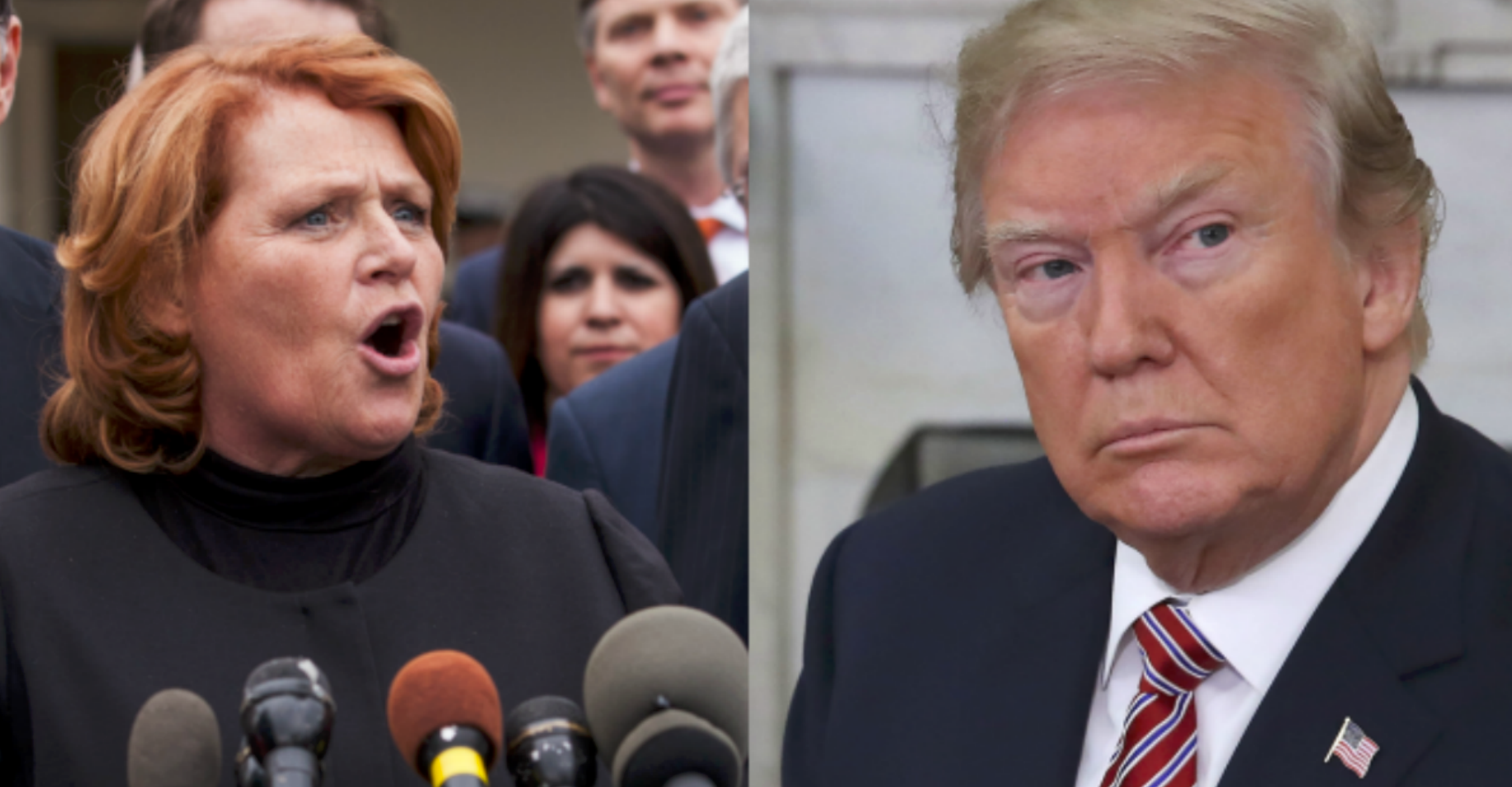 Dem Senator Heitkamp Says Trump Asked Her to 'Switch Parties' Before He Was Sworn in as President