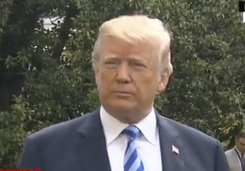 Trump: ‘I Would Love to Speak’ to Mueller if Probe Was Not ‘Witch Hunt’