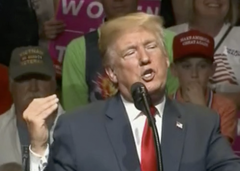 Trump: ‘Joe Donnelly Will Do Whatever Chuck Schumer and Nancy Pelosi Tell Him’