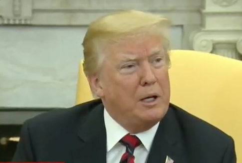 Trump: We Will 'Guarantee' Kim Jong Un's Safety at Summit Meeting