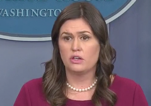 Huckabee Sanders: Trump's 'Roseanne' Tweet Simply Points Out Media Bias